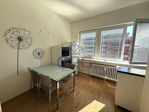 Pronájem bytu 1+1, Brno - Staré Brno, Nové sady, 46 m2