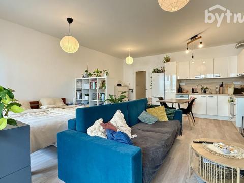 Pronájem bytu 1+kk, Brno - Staré Brno, Hybešova, 45 m2