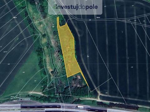 Prodej louky, Daskabát, 3640 m2