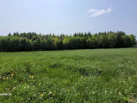 Prodej louky, Moravský Beroun - Čabová, 2247 m2