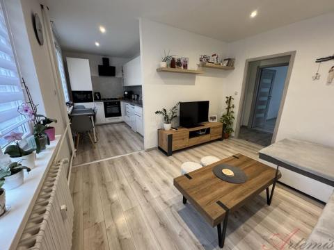 Prodej bytu 2+kk, Studénka - Butovice, A. Dvořáka, 59 m2