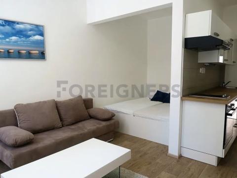 Pronájem bytu 1+kk, Brno, Bratislavská, 29 m2
