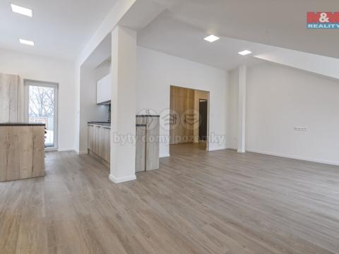 Pronájem bytu 4+kk, Opava - Předměstí, Pekařská, 113 m2
