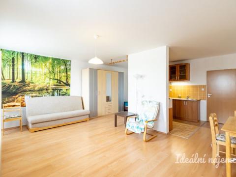 Pronájem bytu 1+kk, Šestajovice, Komenského, 47 m2