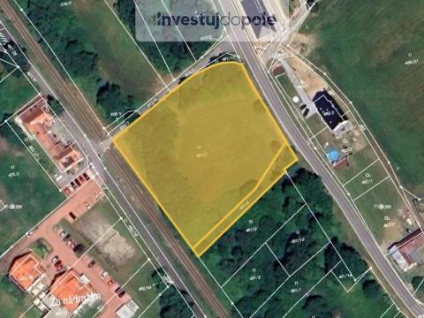 Prodej louky, Horní Planá, Volarská, 5807 m2