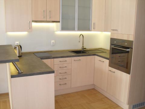 Pronájem bytu 2+kk, Brno - Veveří, Bayerova, 46 m2
