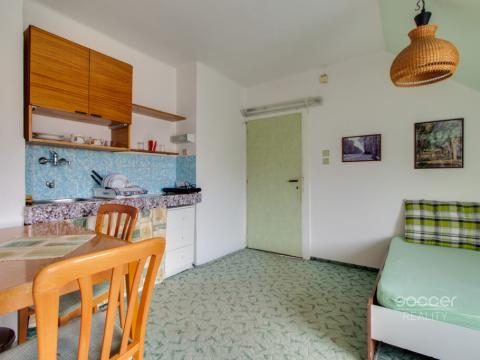 Pronájem bytu 1+kk, Praha - Liboc, U kolejí, 30 m2