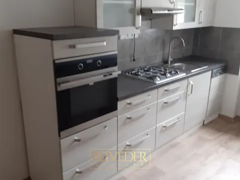 Pronájem bytu 2+1, Teplice, U Červeného kostela, 56 m2