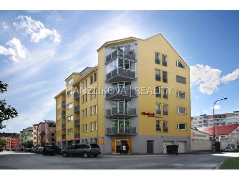 Pronájem bytu 2+kk, České Budějovice - České Budějovice 3, Holečkova, 55 m2