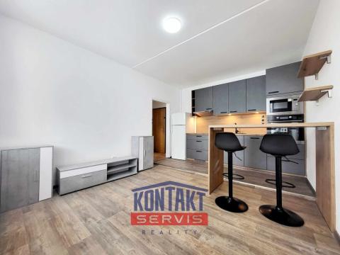 Pronájem bytu 2+kk, České Budějovice, Prachatická, 36 m2