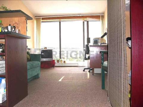 Pronájem bytu 1+kk, Brno, Palackého třída, 24 m2