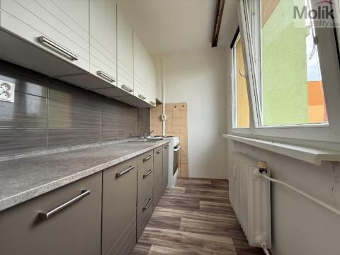 Pronájem bytu 1+kk, Most, Růžová, 27 m2
