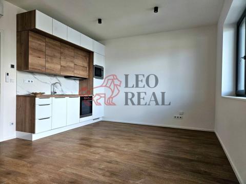 Pronájem bytu 1+kk, Znojmo, Kotkova, 34 m2