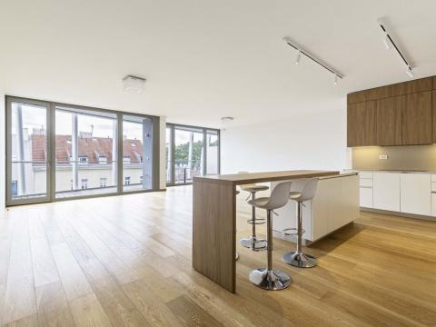 Pronájem bytu 4+kk, Praha - Smíchov, Holečkova, 196 m2