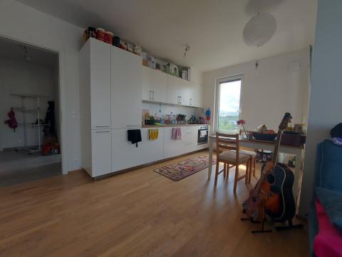 Pronájem bytu 3+kk, Praha - Hloubětín, Waltariho, 75 m2