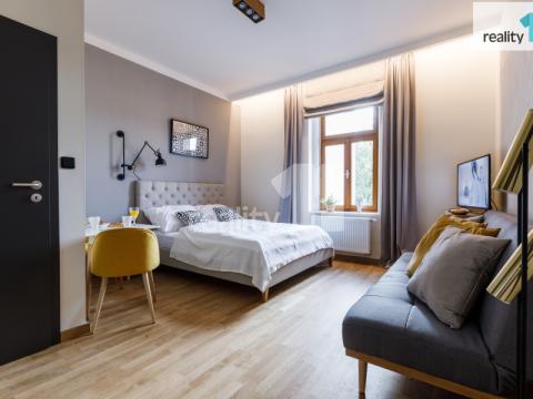 Pronájem bytu 1+kk, Praha - Žižkov, Ondříčkova, 25 m2