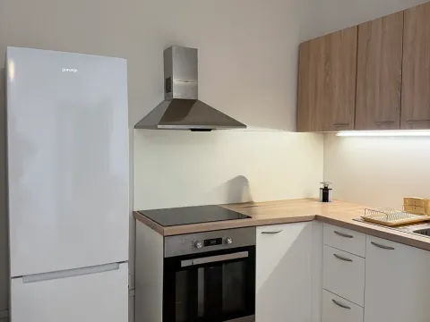 Pronájem bytu 2+kk, České Budějovice, České Vrbné, 55 m2