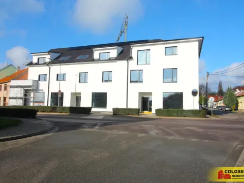 Prodej bytu 3+kk, Hrušovany nad Jevišovkou, 95 m2