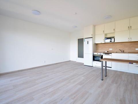 Pronájem bytu 1+kk, Brno - Staré Brno, Hybešova, 38 m2