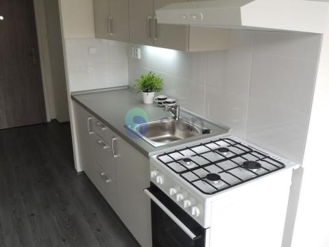 Pronájem bytu 1+1, Ostrava - Výškovice, Šeříková, 40 m2