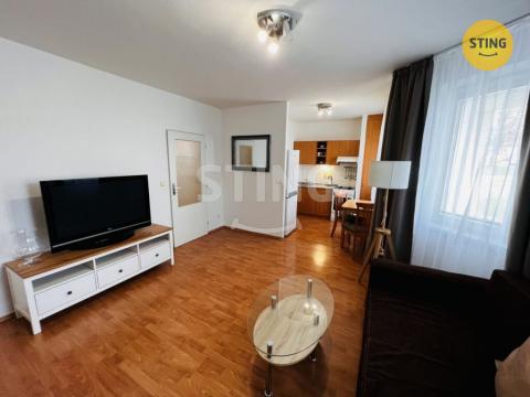 Pronájem bytu 1+kk, Ostrava, Horní, 38 m2