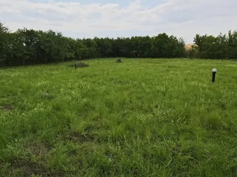 Prodej pozemku pro bydlení, Dymokury, 1000 m2