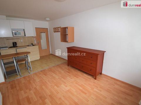 Pronájem bytu 2+kk, Praha - Smíchov, Nad Palatou, 30 m2