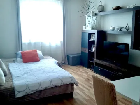 Pronájem bytu 1+1, Karlovy Vary, Dubová, 30 m2