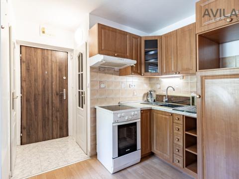 Prodej bytu 1+kk, Zvěstov - Roudný, 25 m2