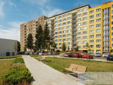 Prodej bytu 2+1, Plzeň, Terezie Brzkové, 68 m2
