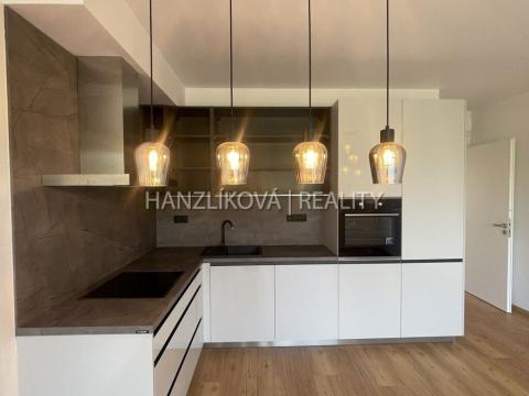 Pronájem bytu 3+kk, České Budějovice - České Budějovice 2, Branišovská, 75 m2