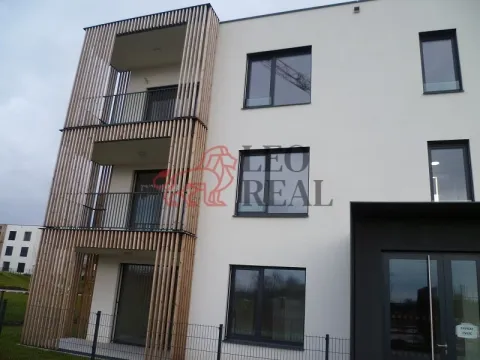 Pronájem bytu 2+kk, Olomouc - Nová Ulice, 54 m2