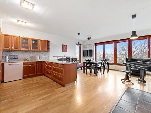 Pronájem bytu 5+kk, Praha - Podolí, Pod Vyšehradem, 122 m2