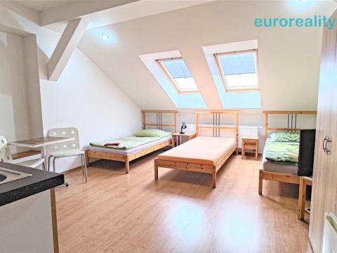 Pronájem bytu 1+kk, Plzeň, Lindauerova, 25 m2