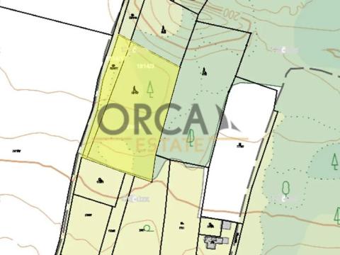 Prodej louky, Bechlín, 6309 m2