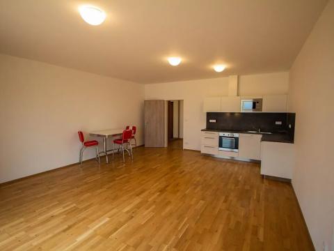 Pronájem bytu 1+kk, Olšany, 45 m2