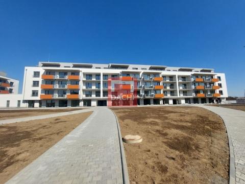 Prodej bytu 1+kk, Olomouc, Aloise Rašína, 23 m2