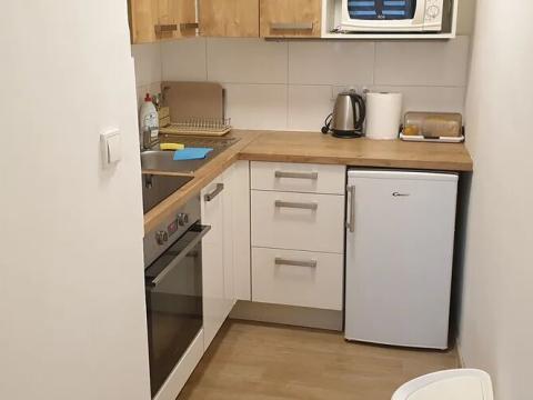 Pronájem bytu 1+kk, Teplice, Petra Jilemnického, 30 m2