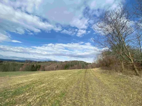 Dražba louky, Příkrý, 8128 m2