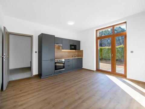 Pronájem bytu 1+kk, Plzeň - Severní Předměstí, Bolevecká, 66 m2