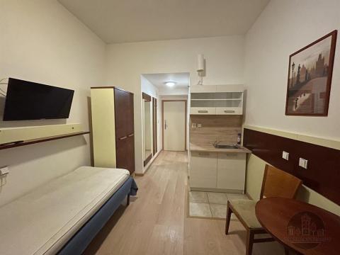 Pronájem bytu 1+kk, Praha - Žižkov, Prokopova, 16 m2
