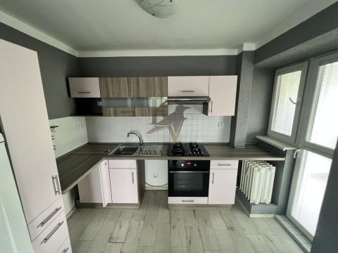 Pronájem bytu 2+kk, Ostrava, Svojsíkova, 48 m2