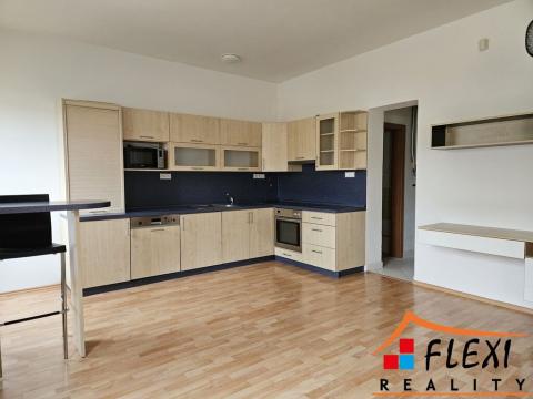 Pronájem bytu 1+kk, Frýdek-Místek, Hluboká, 44 m2