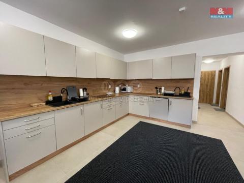 Pronájem bytu 1+kk, Ostrava - Vítkovice, Lidická, 30 m2