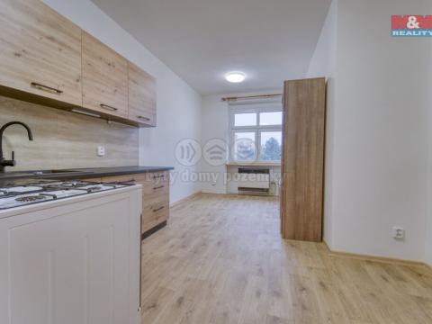 Prodej bytu 2+kk, Plzeň - Lobzy, Masarykova, 41 m2