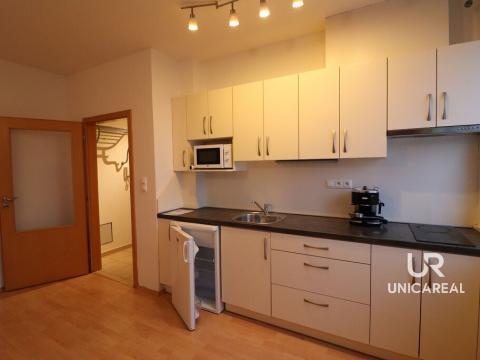 Pronájem bytu 1+kk, Brno - Husovice, Netušilova, 36 m2