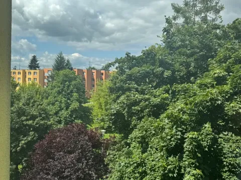 Prodej bytu 2+1, Brno, Novoměstská, 62 m2