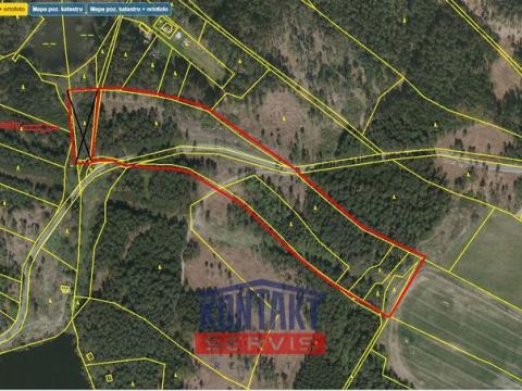 Prodej lesa, Střížovice - Vlčice, 43683 m2