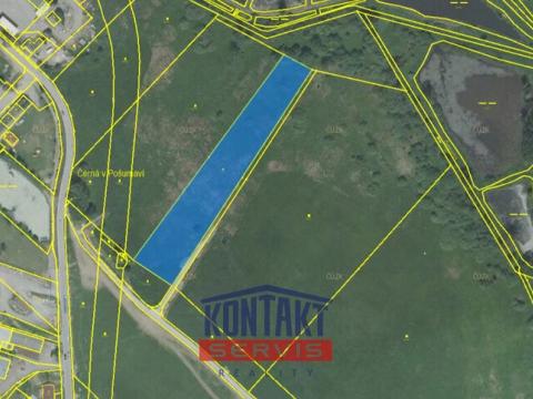 Prodej pole, Černá v Pošumaví, 8493 m2