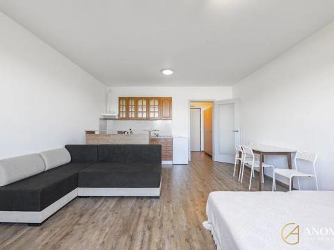 Pronájem bytu 1+kk, Brno, třída Generála Píky, 35 m2